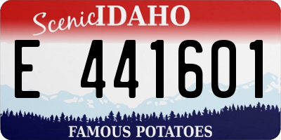 ID license plate E441601