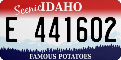 ID license plate E441602