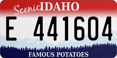 ID license plate E441604