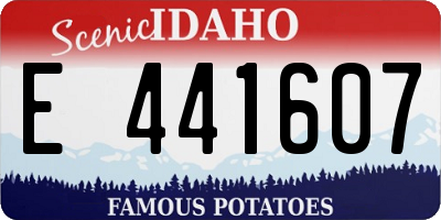 ID license plate E441607