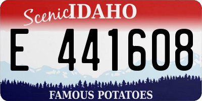 ID license plate E441608