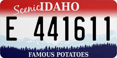 ID license plate E441611