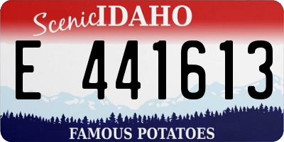 ID license plate E441613