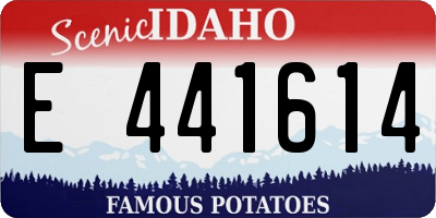 ID license plate E441614
