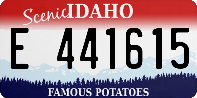 ID license plate E441615