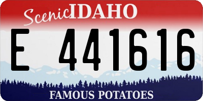 ID license plate E441616