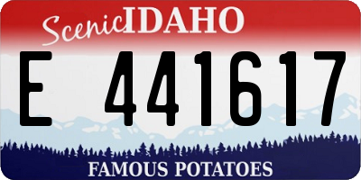 ID license plate E441617