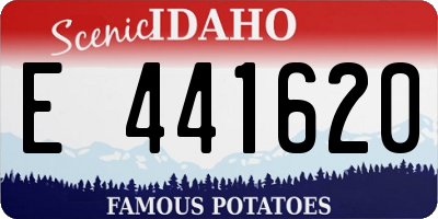 ID license plate E441620