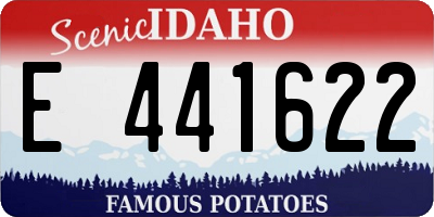 ID license plate E441622