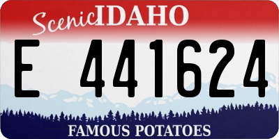 ID license plate E441624