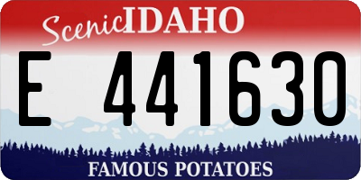 ID license plate E441630