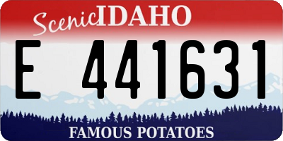 ID license plate E441631