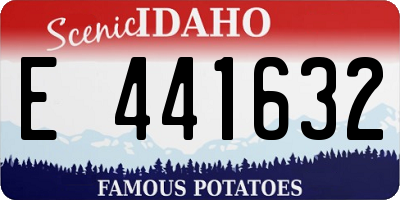 ID license plate E441632