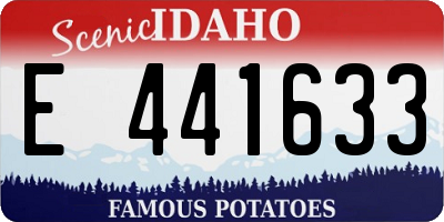 ID license plate E441633