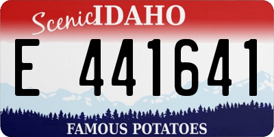 ID license plate E441641