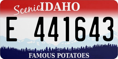 ID license plate E441643