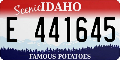 ID license plate E441645