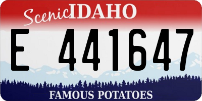 ID license plate E441647