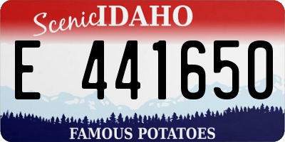 ID license plate E441650