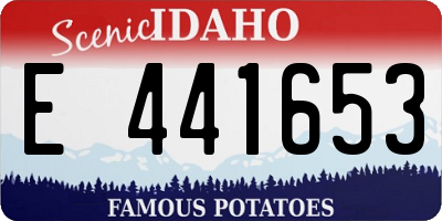 ID license plate E441653