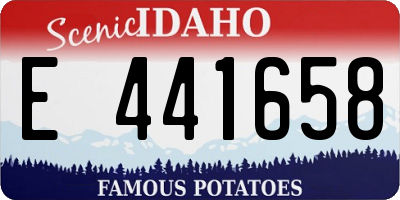 ID license plate E441658