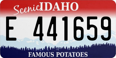 ID license plate E441659
