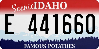 ID license plate E441660
