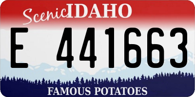 ID license plate E441663