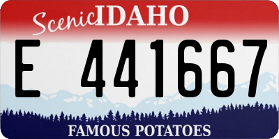 ID license plate E441667