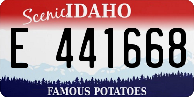 ID license plate E441668
