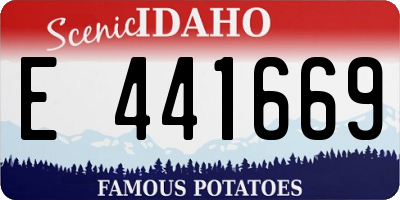 ID license plate E441669
