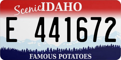 ID license plate E441672