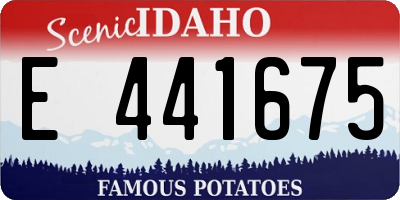 ID license plate E441675