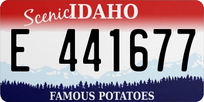 ID license plate E441677