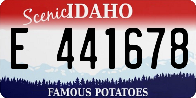 ID license plate E441678