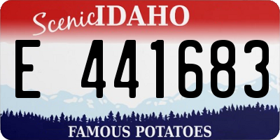 ID license plate E441683