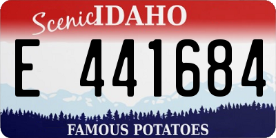 ID license plate E441684