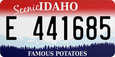 ID license plate E441685