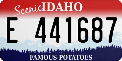 ID license plate E441687