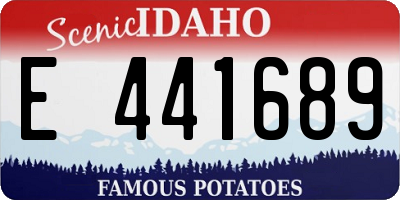 ID license plate E441689