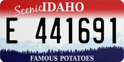 ID license plate E441691