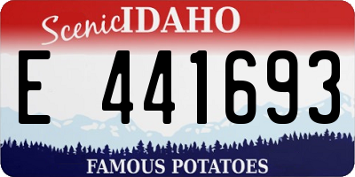 ID license plate E441693