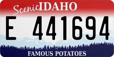 ID license plate E441694