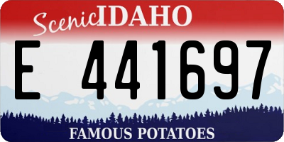 ID license plate E441697