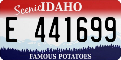 ID license plate E441699