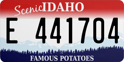 ID license plate E441704