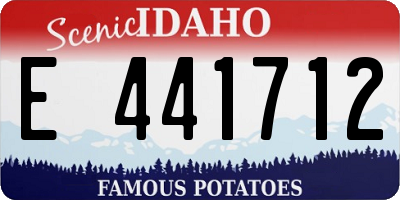 ID license plate E441712
