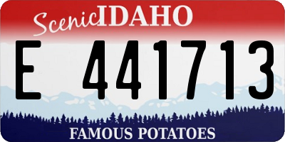 ID license plate E441713