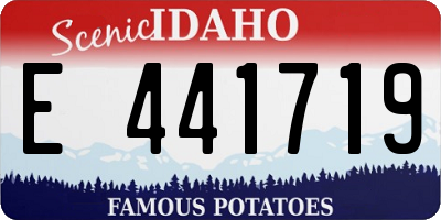 ID license plate E441719