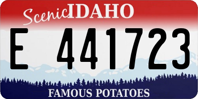 ID license plate E441723
